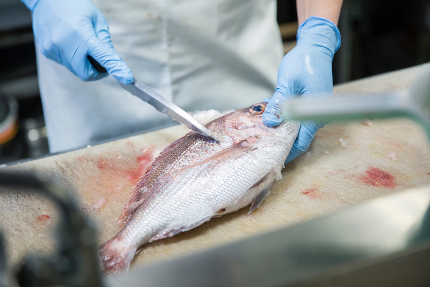 朝どれ鮮魚お任せセット