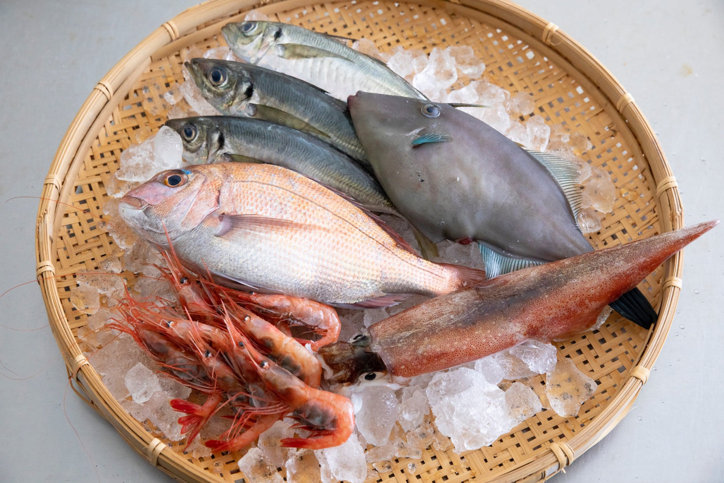 朝どれ鮮魚お任せセット